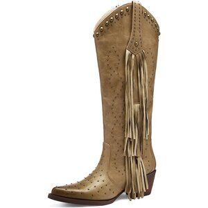 Women's Apricot Fashion Pointed Toe Chunky Heel Rivet Pull-On Knee High Fringe